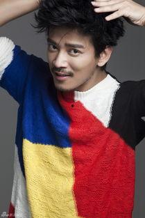 陈晓冬照片,光影中的魅力瞬间