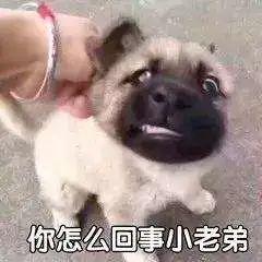 蒙面偷东西的表情包,表情包里的窃贼众生相