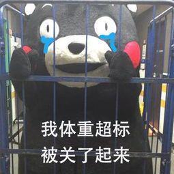 关于体重表情包,轻松幽默展现生活态度