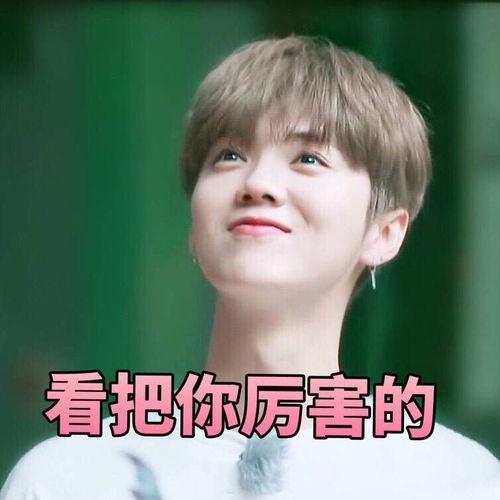 冒泡鹿晗表情包,笑翻网友的欢乐源泉