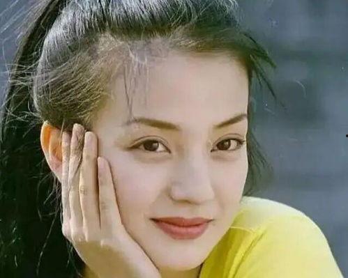 暗恋赵薇的男明星,揭秘暗恋赵薇的神秘男星