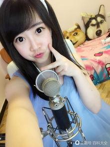 lol女主播 狐狸,LOL女主播的电竞魅力与成长之路